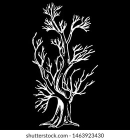 Isolated vector illustration. Stylized bare tree. Hand drawn linear sketch. White silhouette on black background.