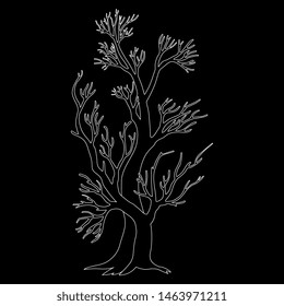Isolated vector illustration. Stylized bare tree. Black and white linear silhouette.