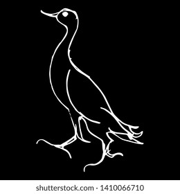 Isolated vector illustration. Stylized bird. Hand drawn linear doodle sketch. White silhouette on black background.