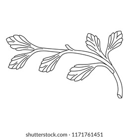 Isolated vector illustration. Stylized branch with leaves. Based on vintage motif. Black and white linear silhouette.