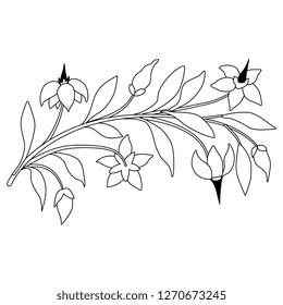 Isolated vector illustration. Stylized branch with flowers. Hand drawn sketch. Vintage motif. Black and white linear silhouette.