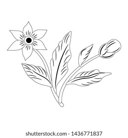 Isolated vector illustration. Stylized branch with leaves and flowers. Black and white linear silhouette.