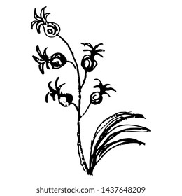 Isolated vector illustration. Stylized branch of hyacinth flower. Hand drawn sketch. Black silhouette on white background.