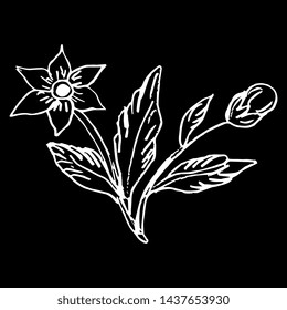Isolated vector illustration. Stylized branch with leaves and flowers. Hand drawn sketch. White silhouette on black background.