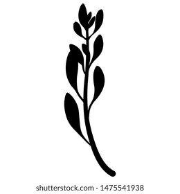 Isolierte Vektorgrafik. Stilisierter Zweig mit Blättern. Schwarze Silhouette auf weißem Hintergrund.