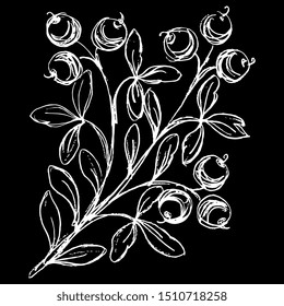 Isolated vector illustration. Stylized branch with leaves and berries. Hand drawn sketch. White silhouette on black background.  