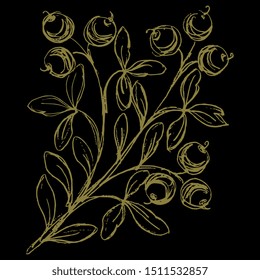 Isolated vector illustration. Stylized branch with leaves and berries. Hand drawn sketch. Golden silhouette on black background.  