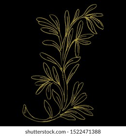 Isolated vector illustration. Stylized branch with leaves. Hand drawn linear sketch. Golden silhouette on black background.