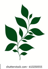 Isolated vector illustration of stylized branches with foliage on a light background
