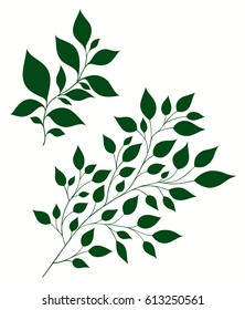 Isolated vector illustration of stylized branches with foliage on a light background