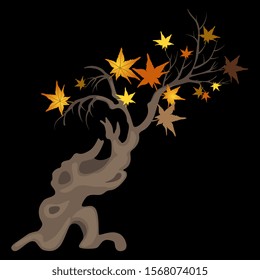 Isolated vector illustration. Stylized deciduous tree in autumn or fall. On black background.