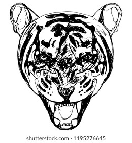 Isolated vector illustration. Stylized face of an angry tiger with open mouth. Hand drawn linear ink sketch. Black silhouette on white background.