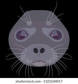 Isolated vector illustration. Stylized face of a seal. Flat cartoon style. On black background.