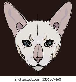 Isolated vector illustration. Stylized face of a Siamese domestic cat. Hand drawn sketch. On dark background.