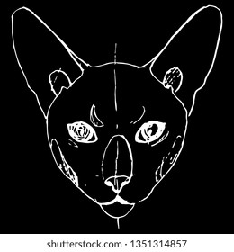 Isolated vector illustration. Stylized face of a Siamese domestic cat. Hand drawn linear doodle sketch. White silhouette on black background.