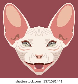Isolated vector illustration. Stylized face of a white naked domestic cat. Flat cartoon style.
