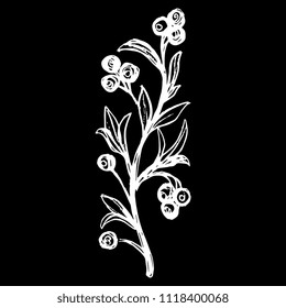 Isolated vector illustration. Stylized floral branch with berries. Hand drawn doodle sketch. White silhouette on black background.