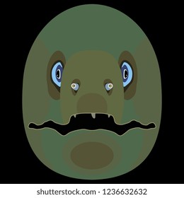 Isolated vector illustration. Stylized funny face of muraena fish. (Muraenidae). Muraena helena. (Black Moray). Mediterranean moray. Flat cartoon style. On black background.