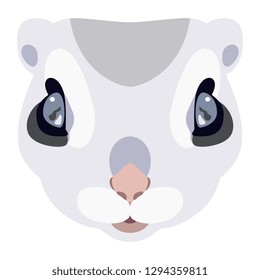 Isolated vector illustration. Stylized funny face of a flying squirrel. Flat cartoon style.
