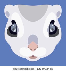 Isolated Vector Illustration. Stylized Funny Face Of A Siberian Or Russian Flying Squirrel. (Pteromys Volans). Flat Cartoon Style. On Blue Background.