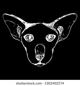 Isolated vector illustration. Stylized funny face of a domestic cat. Exotic Oriental shorthair race. Hand drawn linear doodle sketch. White silhouette on black background.