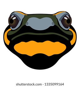 Isolated vector illustration. Stylized funny face of a fire salamander. Flat cartoon style.