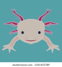 Isolated vector illustration. Stylized funny face of an axolotl. Mexican walking fish. Neotenic fire salamander. Flat cartoon style.