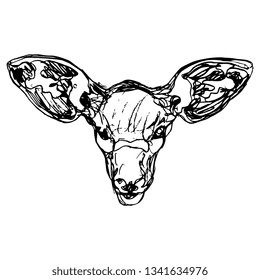 Isolated vector illustration. Stylized funny face of African Bongo antelope. Tragelaphus eurycerus. Hand drawn linear doodle sketch. Black silhouette on white background.