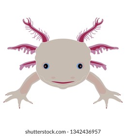 Cute Axolotl Logo High Res Stock Images Shutterstock