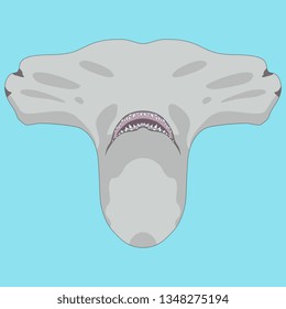 Isolated vector illustration. Stylized funny head of a hammer fish or hammerhead shark. Flat cartoon style.