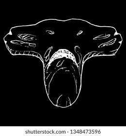 Isolated vector illustration. Stylized funny head of a hammer fish or hammerhead shark. Hand drawn linear doodle sketch. White silhouette on black background.