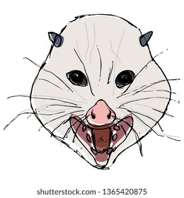 Isolated vector illustration. Stylized funny face of opossum. Hand drawn colored sketch.