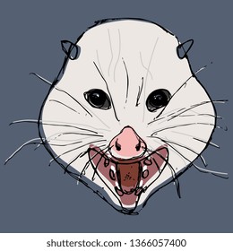 Isolated vector illustration. Stylized funny face of opossum. Hand drawn colored sketch. On blue background.