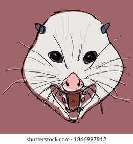 Isolated vector illustration. Stylized funny face of opossum. Hand drawn colored sketch. On pink background.