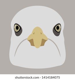 Isolated vector illustration. Stylized funny face of a sea gull bird. Flat cartoon style.