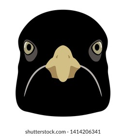Isolated vector illustration. Stylized funny face of a sulky black bird. Flat cartoon style.