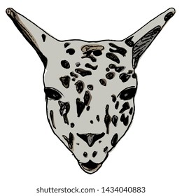 Isolated vector illustration. Stylized funny face of a llama (Lama glama). Hand drawn colorful sketch.