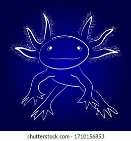 Ilustración vectorial aislada de axolotl blanco estilizado. Pescado caminante mexicano. Salamandra de fuego neoténico. Estilo dibujado a mano.