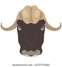 Isolated vector illustration. Stylized head of a muskox. (Ovibos moschatus). Flat cartoon style.