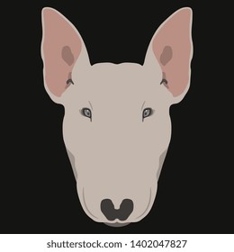 Isolated vector illustration. Stylized head of a Bull Terrier dog. Flat cartoon style. On black background.
