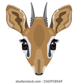 Isolated vector illustration. Stylized head of dik-dik. African antelope. (Madoqua). Flat cartoon style.