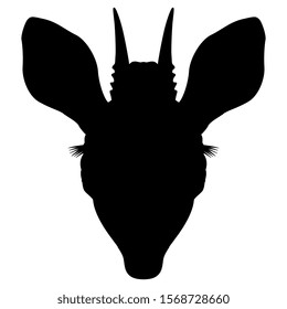 Isolated vector illustration. Stylized head of dik-dik. African antelope. (Madoqua). Black silhouette on white background.