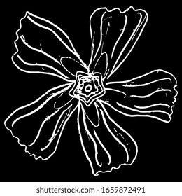 Ilustración vectorial aislada. Cabeza estilizada de flor perwinkle. Dibujo lineal del doodle dibujado a mano. Silueta blanca sobre fondo negro.