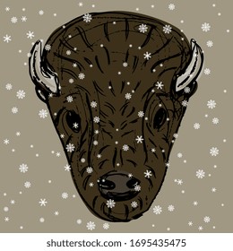 Isolated vector illustration. Stylized head of American bison or buffalo under snowflakes. Winter animal decor. Hand drawn rough sketch.