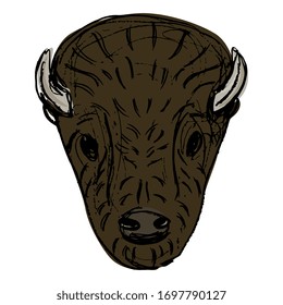 Isolated vector illustration. Stylized head of American bison or buffalo. Hand drawn rough colorful sketch.