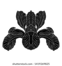 Isolated vector illustration. Stylized Iris flower. Symmetrical floral motif. Black and white linear silhouette.
