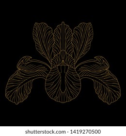 Isolated vector illustration. Stylized Iris flower. Symmetrical floral motif. Linear monochrome silhouette.