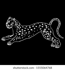 Isolated vector illustration. Stylized running spotted wild cat or leopard. Hand drawn linear sketch. White silhouette on black background.
