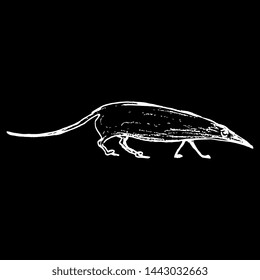 Isolated vector illustration. Stylized shrew. Ancient Egyptian animal motif. Hand drawn linear doodle sketch. White silhouette on black background.