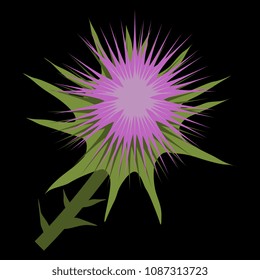 Isolated vector illustration of a stylized thistle flower. On black background